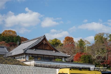 宗祖殿|西教寺